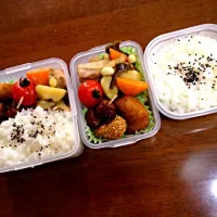 Snapdishの料理写真:五目煮弁当|かんなさん