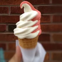 Creative soft serve from Montreal's Kem Coba.|Jonathanさん