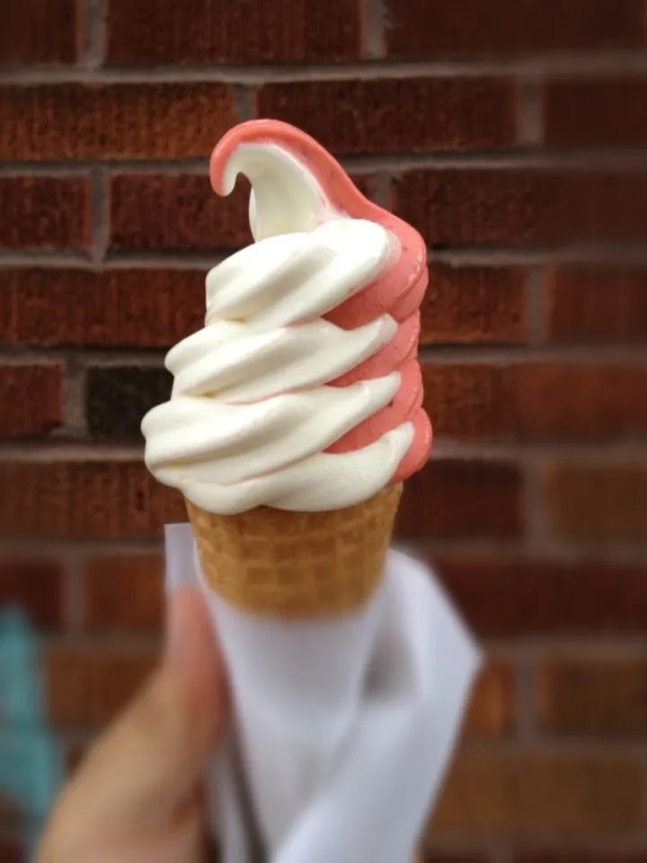 Creative soft serve from Montreal's Kem Coba.|Jonathanさん