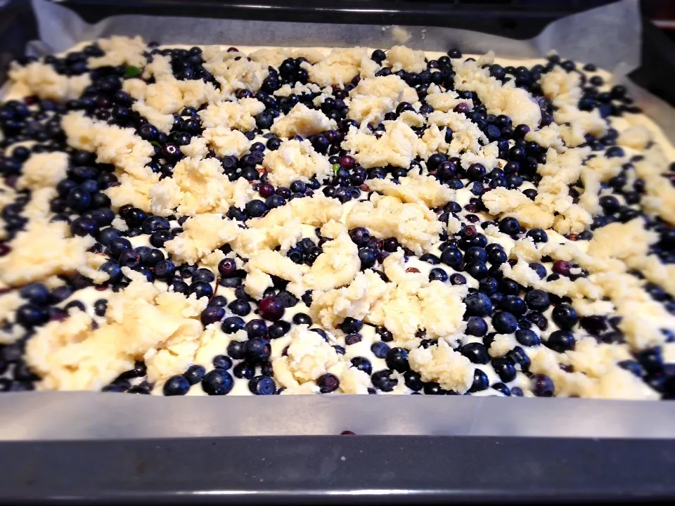 Went to the woods and picked up some blueberries and now Making blueberrypie|ozzy sparaさん