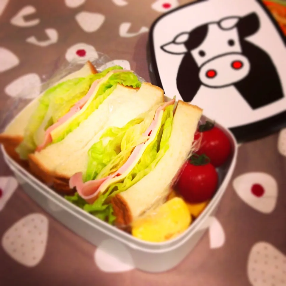 7月5日 サンドイッチのお弁当|あかねこさん