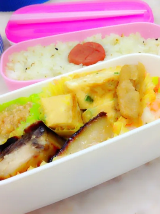 Snapdishの料理写真:今日のお弁当|さーちゃんさん