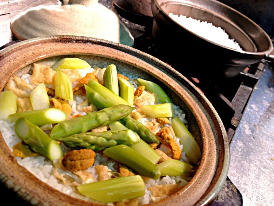 アスパラ海胆土鍋御飯|炊かれたいオトコ おこん 小栁津さん