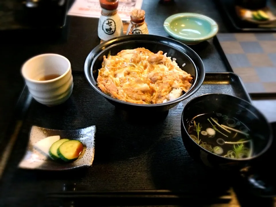 Oyako Donburi（親子丼）|Polar Bearさん