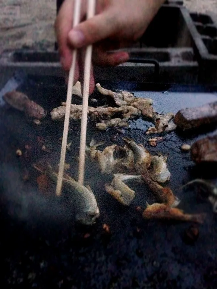 釣ったハヤを鉄板焼きに！！|ももこさん