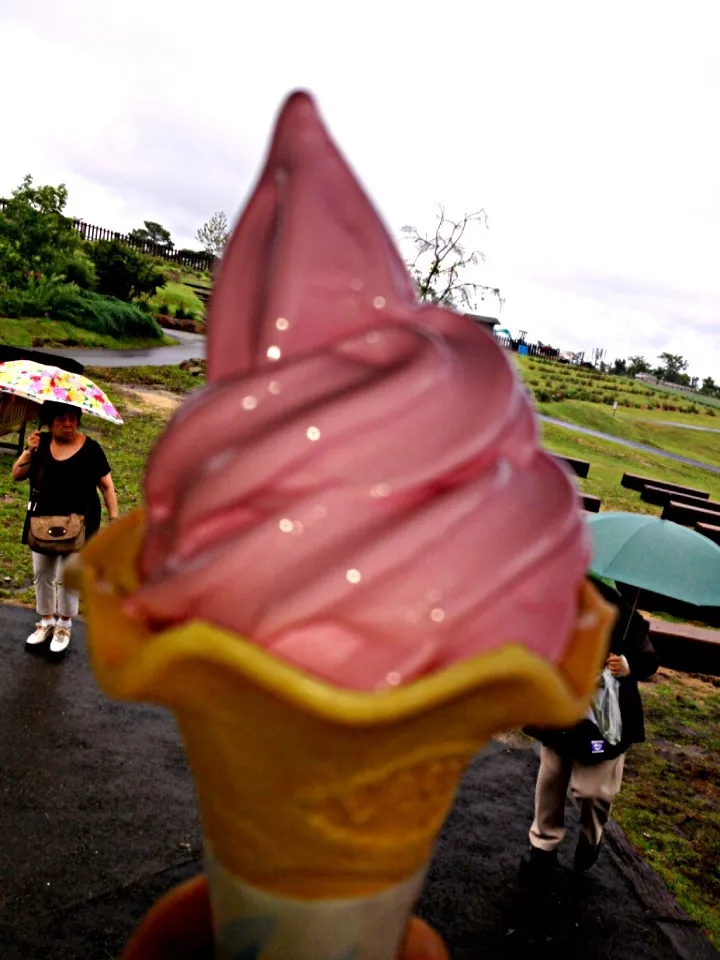 熊本九重花公園のローズソフトクリーム✨|zcさん