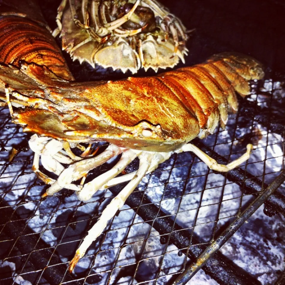 Grilled Crayfish|Yappilyさん