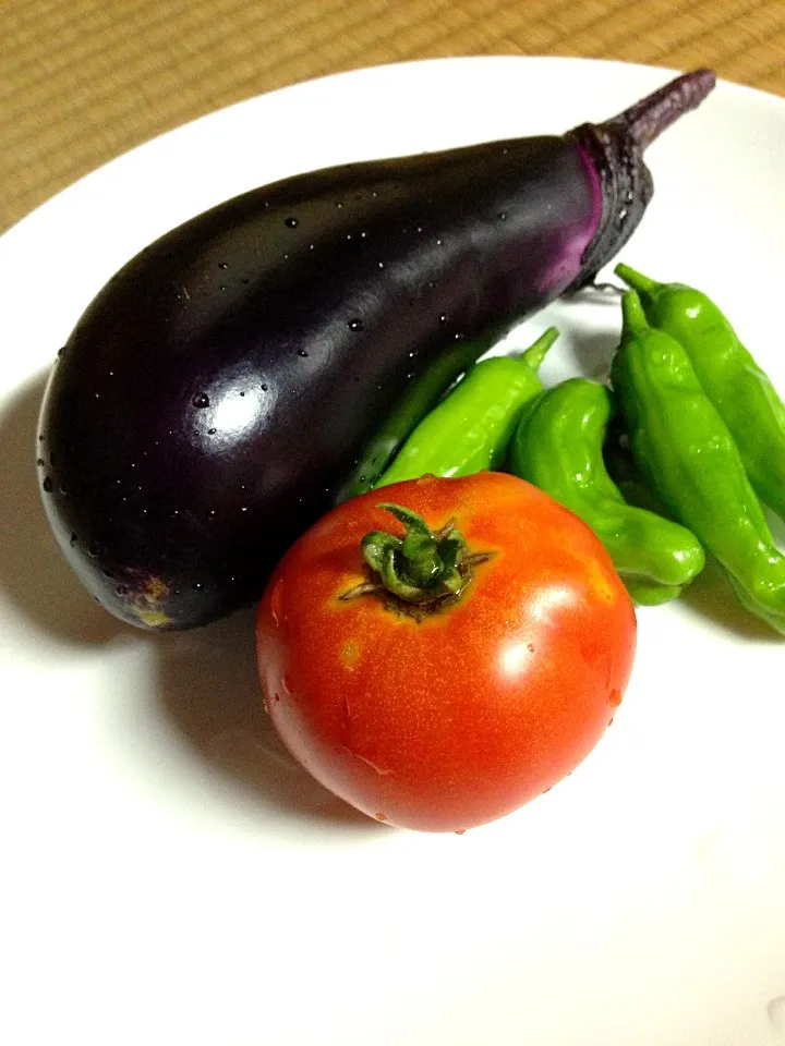 Snapdishの料理写真:新鮮な野菜が収穫できました！|takuさん