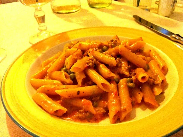 Penne fiorentina|airiさん