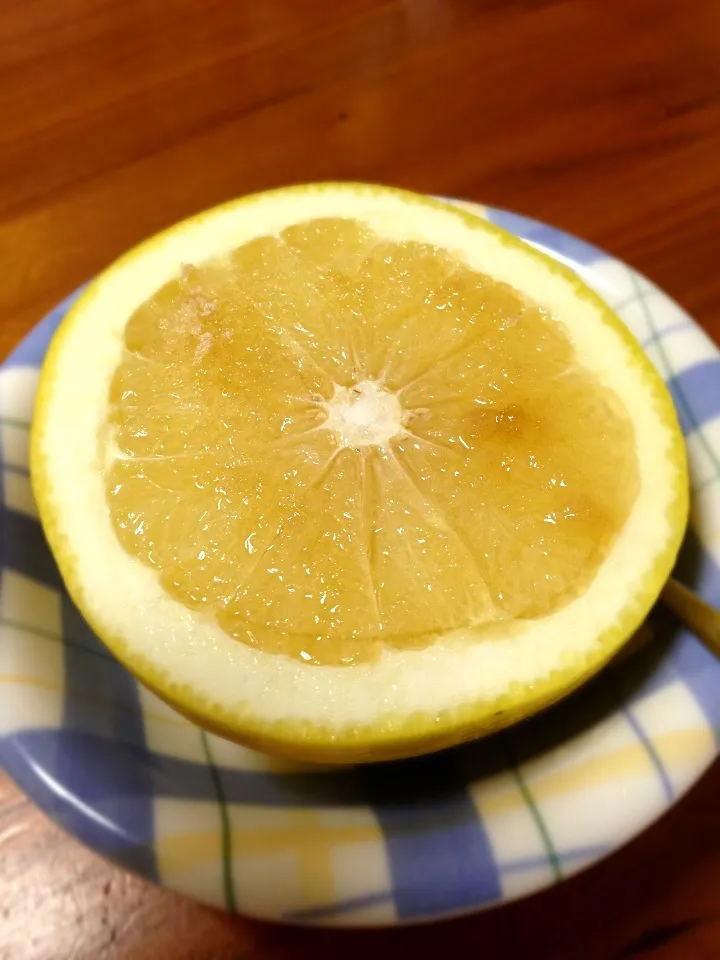 グレープフルーツ🍋|大関智弘さん