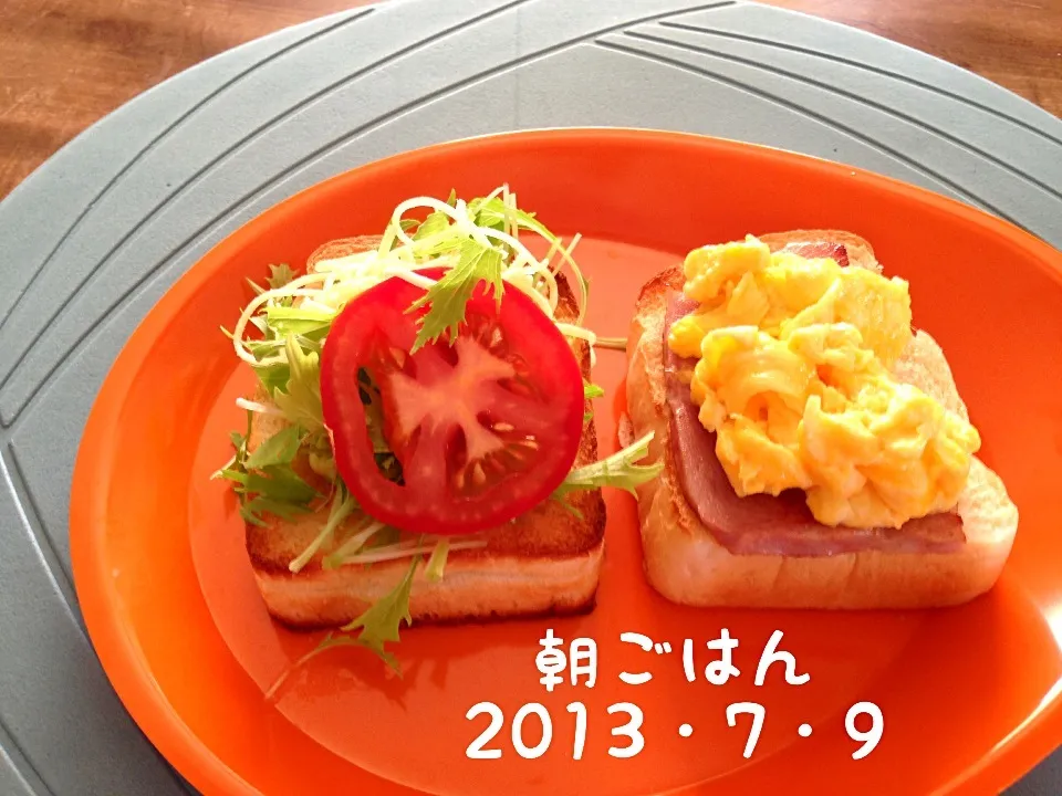 朝ごはん  2013・7・9|ローゼルさん