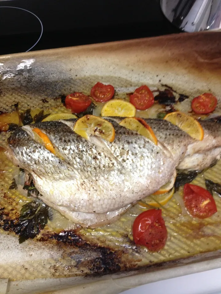 Snapdishの料理写真:Striped Bass out of the oven|Christine pavelkaさん