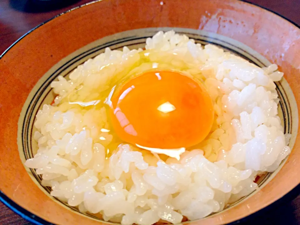 鳳凰卵 山吹|炊かれたいオトコ おこん 小栁津さん