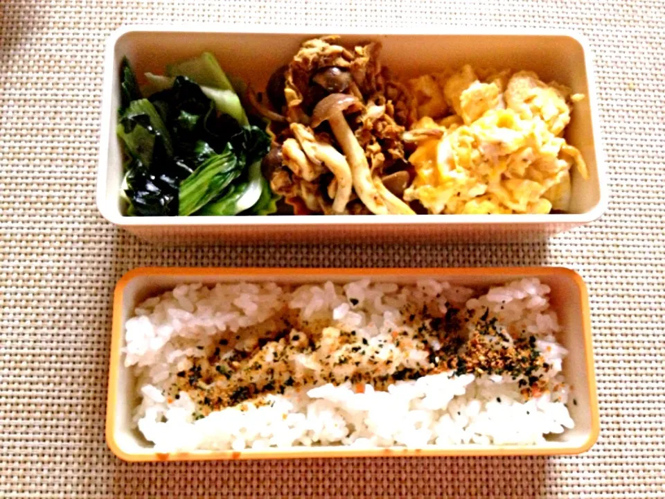 Snapdishの料理写真:本日のお弁当|satchさん