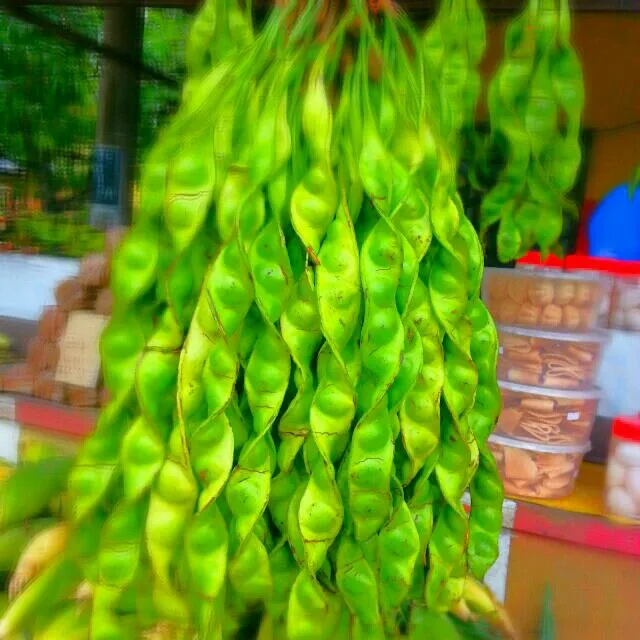 Snapdishの料理写真:Petai..a smelly bean usually found in the jungle..favourite among Malaysian..normally cooked with chilli..the dish is called sambal tumis petai.|yapさん