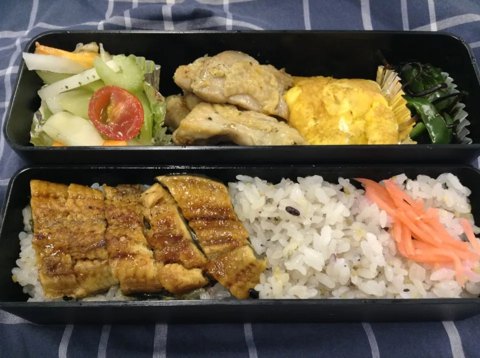 弁当（鰻蒲焼き、鶏肉レモン胡椒焼き、玉子焼き、ピーマン昆布、セロリのマリネ）|SasaMasa213さん