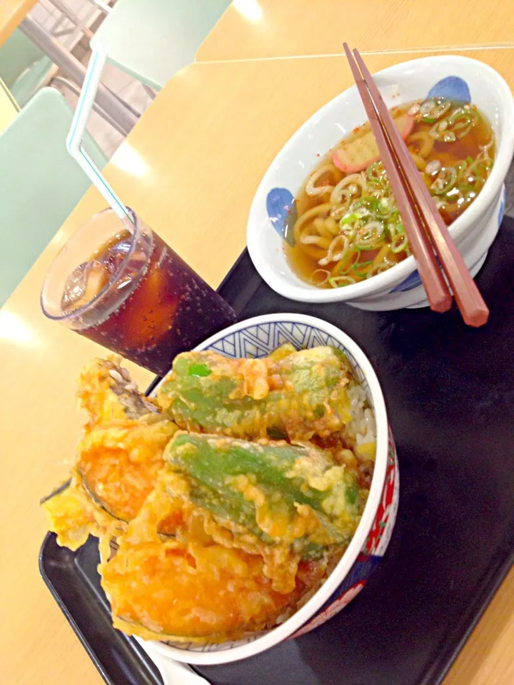 Snapdishの料理写真:Comida Japonesa , Tendon e mini mem tsuki|Fabricio Mattosさん