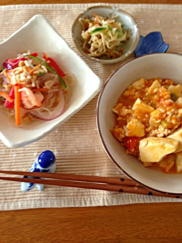 ヤム ウンセンとトマト麻婆ランチ|みちよさん