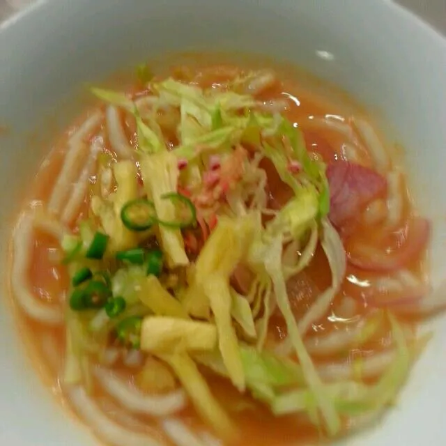 assam laksa or consist of thick white rice vermecilli in sourish plum base soup top with cucumber, pineapple & red onions.|yapさん