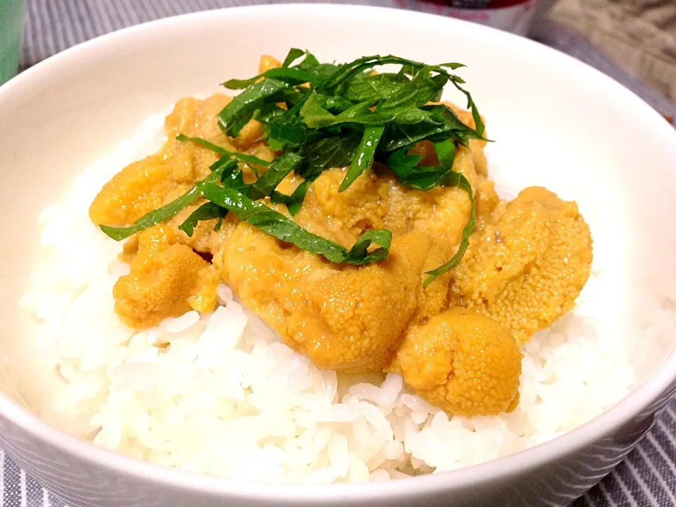 あまちゃんの北三陸産のウニ丼|ちあきさん