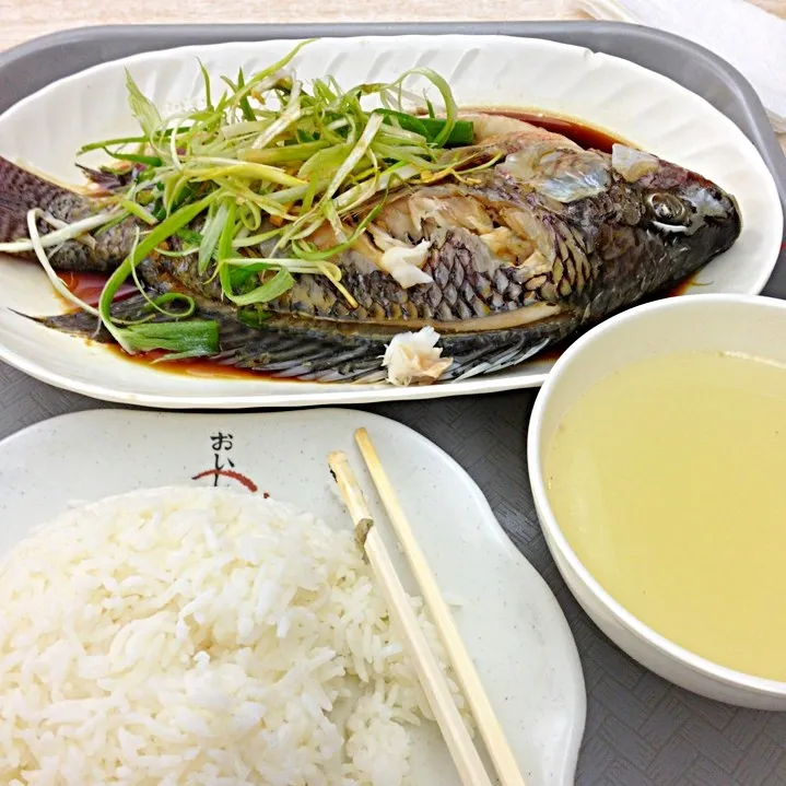 Snapdishの料理写真:Chinese-style Steamed Fish with Ginger Served with Rice and Chicken Stock|stephanie singgatamaさん