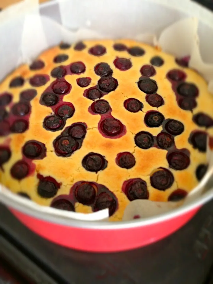 Easy blueberry cake作ってみましたー！|さくたえさん