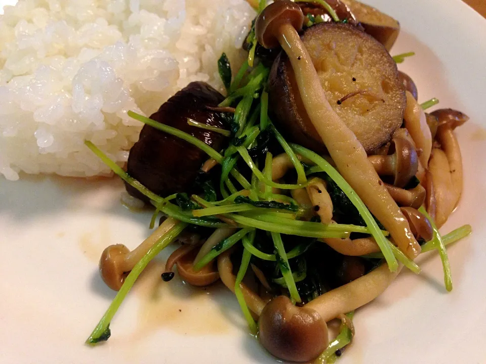 Snapdishの料理写真:Eggplants and mushrooms|mさん