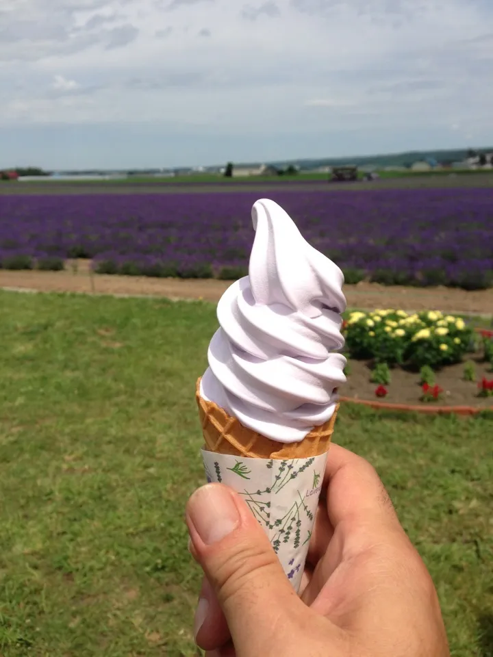 ラベンダーホワイトチョコレートソフトクリーム、、ここだけ限定😊😁😋|ぷりん体さん