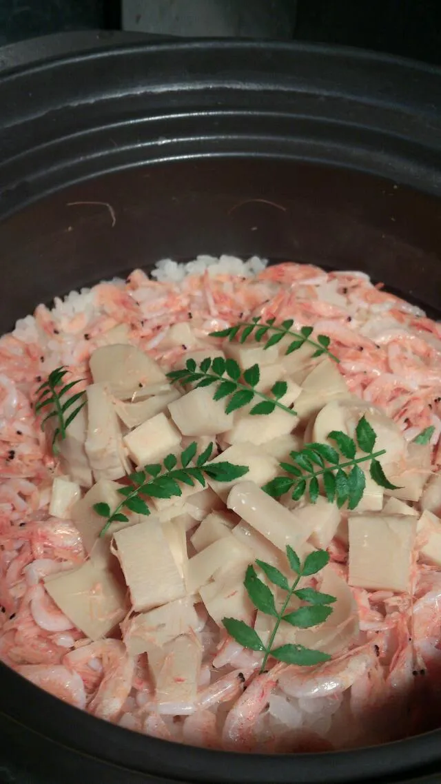 【代々木上原おこん】桜海老と筍の土鍋炊き込み御飯|うめロクさん