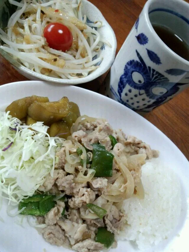 もやしサラダ＆豚肉炒め物！ナスの甘辛煮！|はぎのつきさん