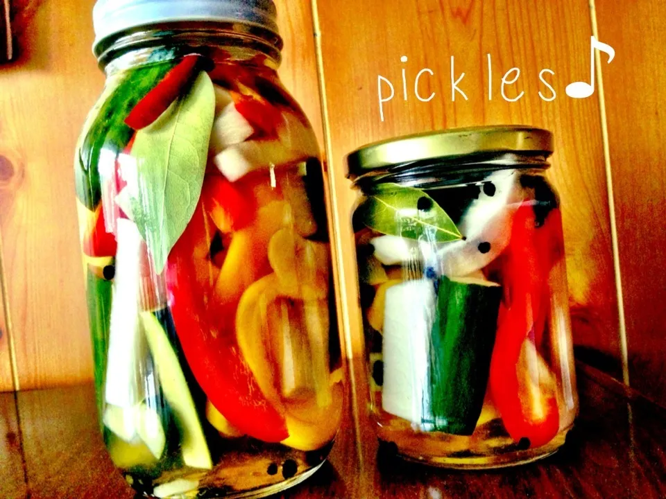 pickles♡|LBoxさん