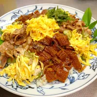 Snapdishの料理写真:穴子と豚肉の薬味ちらし|korikoriさん