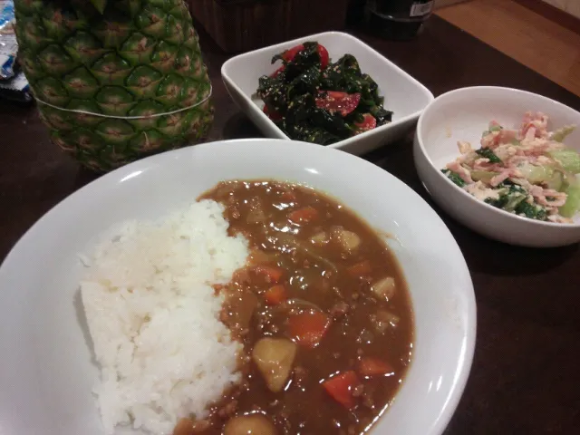 今夜はカレー|フウミンさん