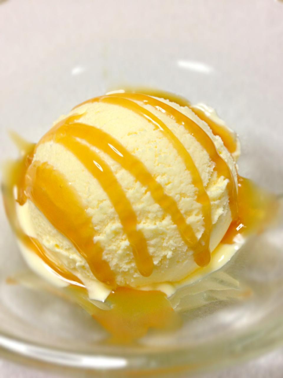 バニラアイス キャメルソースがけ/toto SnapDish[スナップディッシュ] (IDerrnaa)