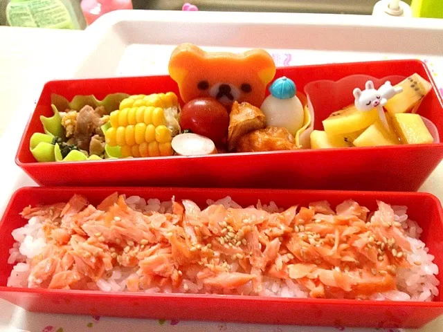 中学女子の弁当|kaoruさん