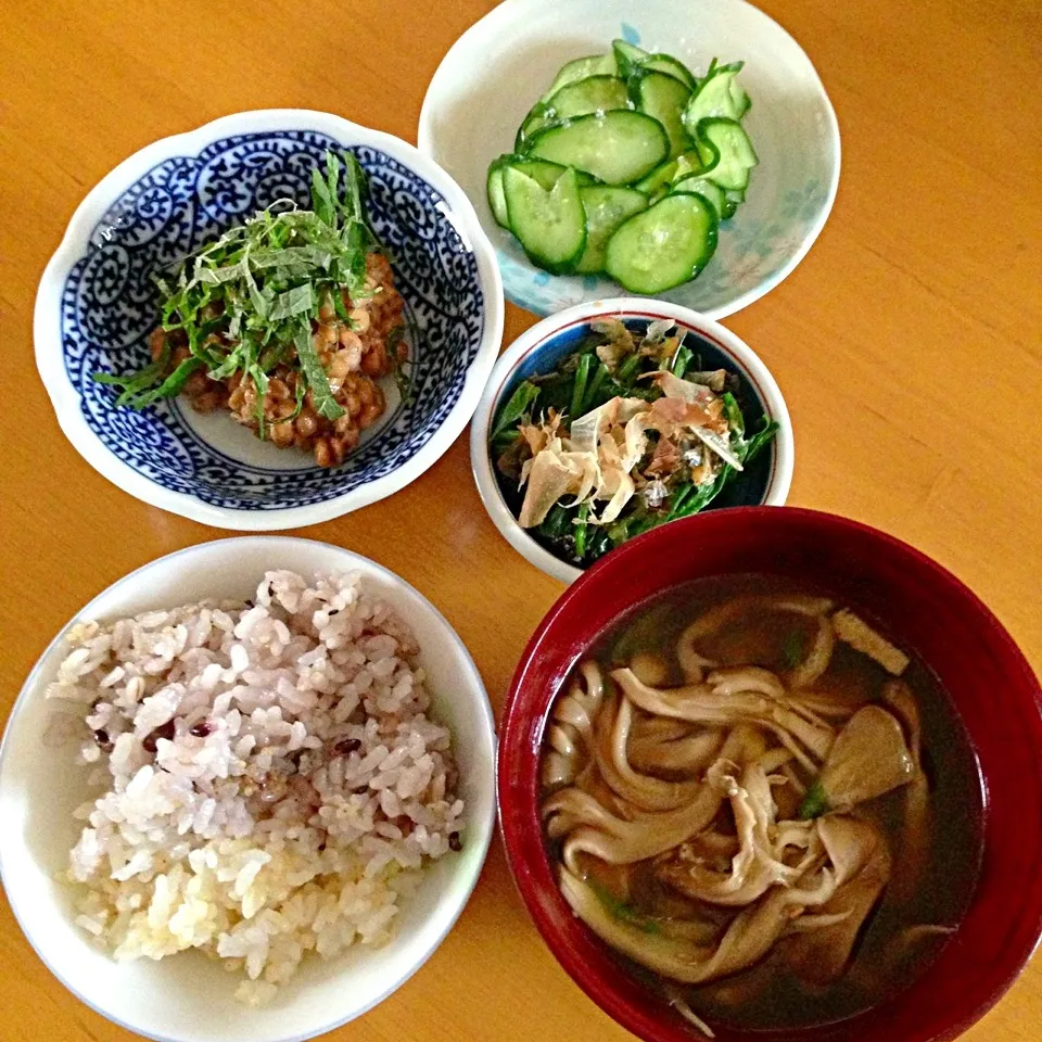 納豆、ほうれん草、胡瓜の浅漬け、味噌汁|mamiさん