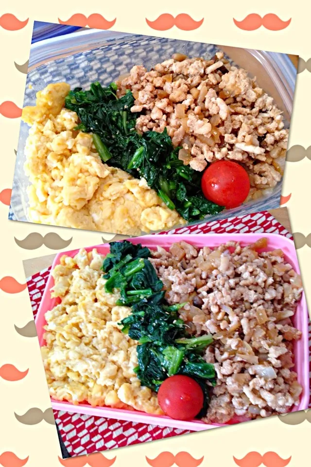 鶏そぼろ弁当|しーさん