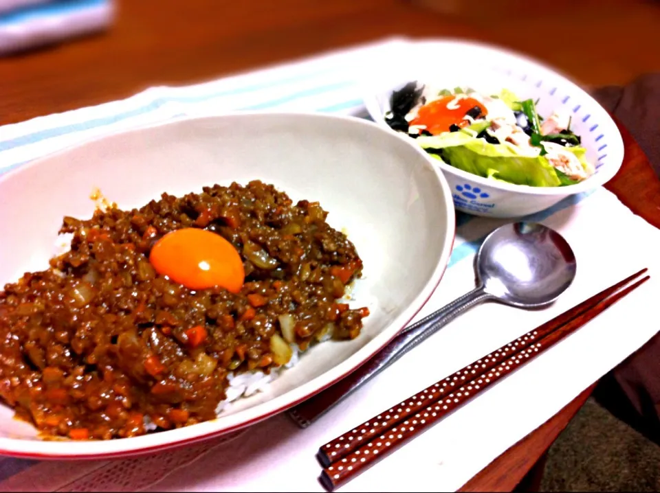 ドライカレー、胡麻和えささみのサラダ|カナエさん