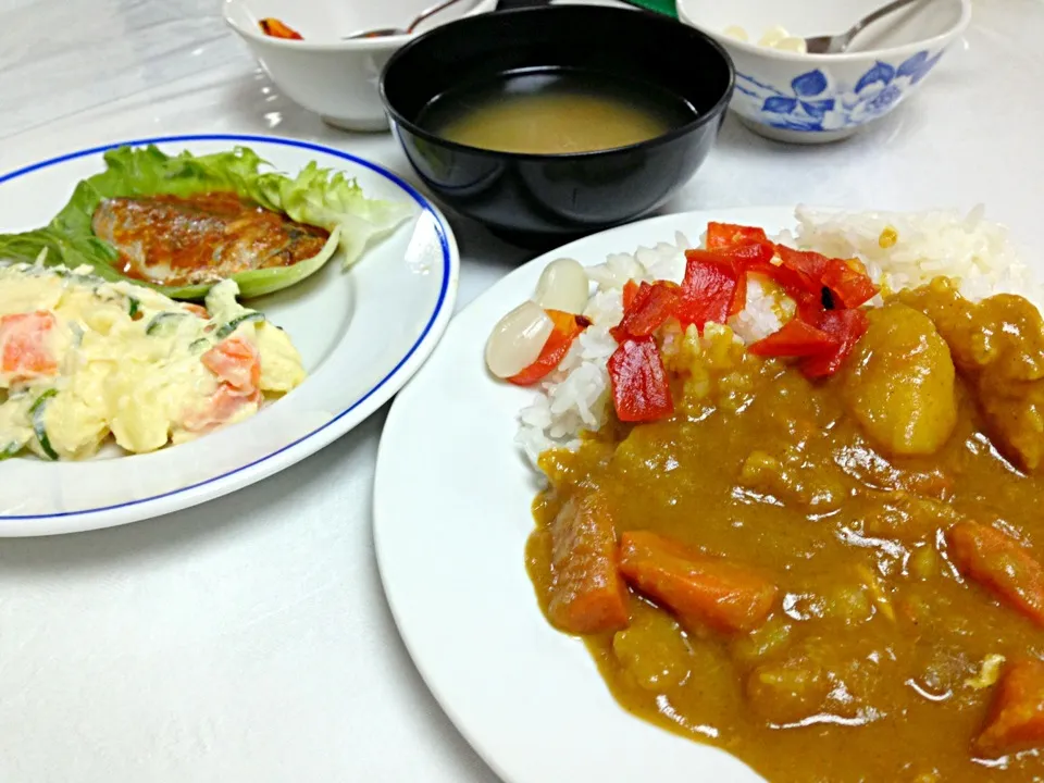 賄いカレー|カリヤ レイイチロウ。さん