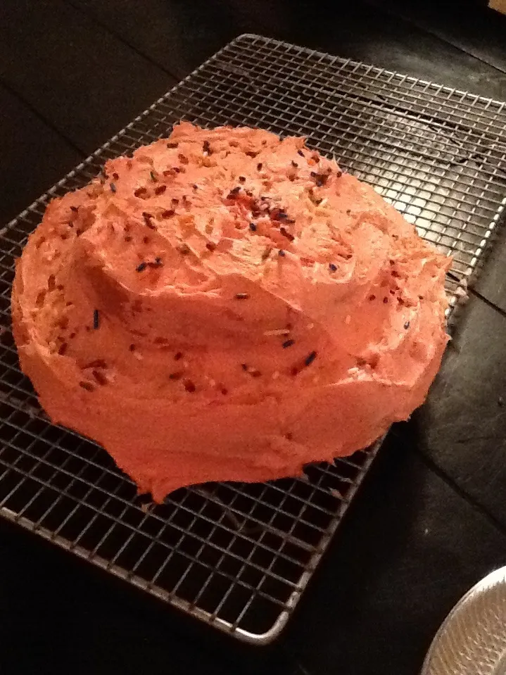 Cherry chip cake with pink frosting and sprinkles|Ashlyn Dogsさん