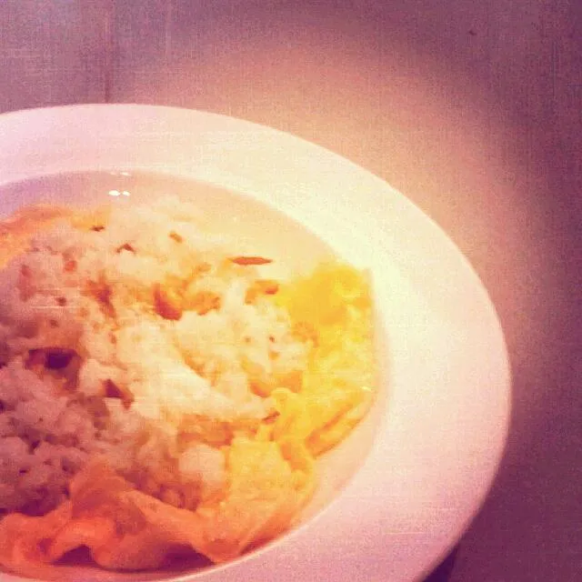 Fried egg + rice + a little bit garlic|Thien Minh Huynhさん