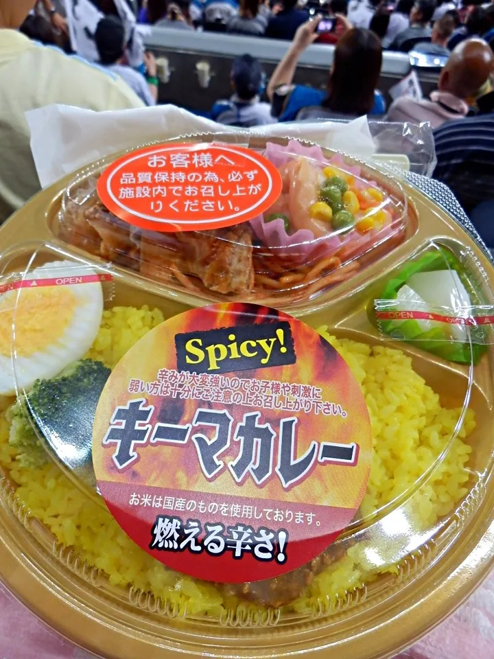 久しぶり！札幌ドーム（＾∇＾）Spicy！キーマカレーにしてみた（＾∇＾）|しーさん