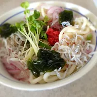 Snapdishの料理写真:梅じゃこ冷しうどん|Satoshi Ichikawaさん