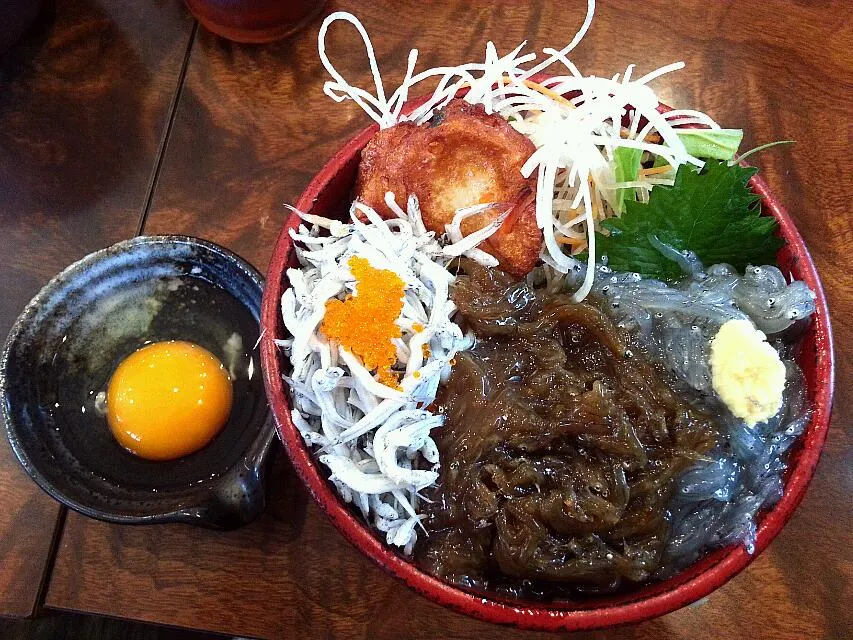 小田原早川漁村 三色丼(生しらす、生しらすの沖漬、釜あげしらす)|じょうさん