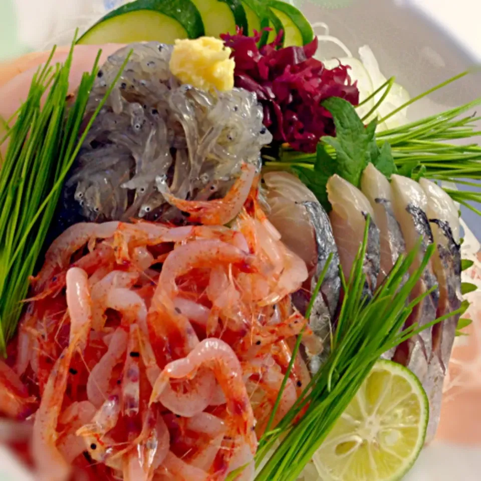 静岡三色ちらし🐟生桜海老・生しらす・鯵 🍶芽葱も浜松産|もとぱんさん