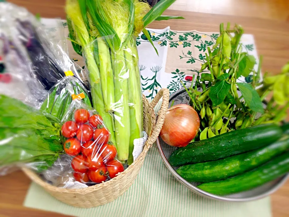 無農薬夏野菜|はなおさん