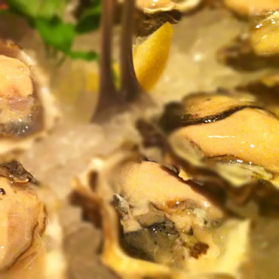 West coast oysters|pickyeaterさん