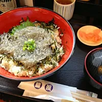 Snapdishの料理写真:江ノ島で食べた生しらす丼|ボンベイさん