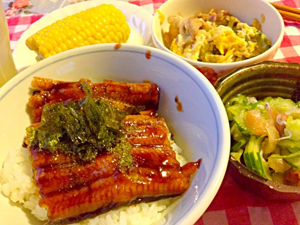 鰻丼   ミョウガと胡瓜と紫蘇の和え物    ゴーヤチャンプルー|mari miyabeさん