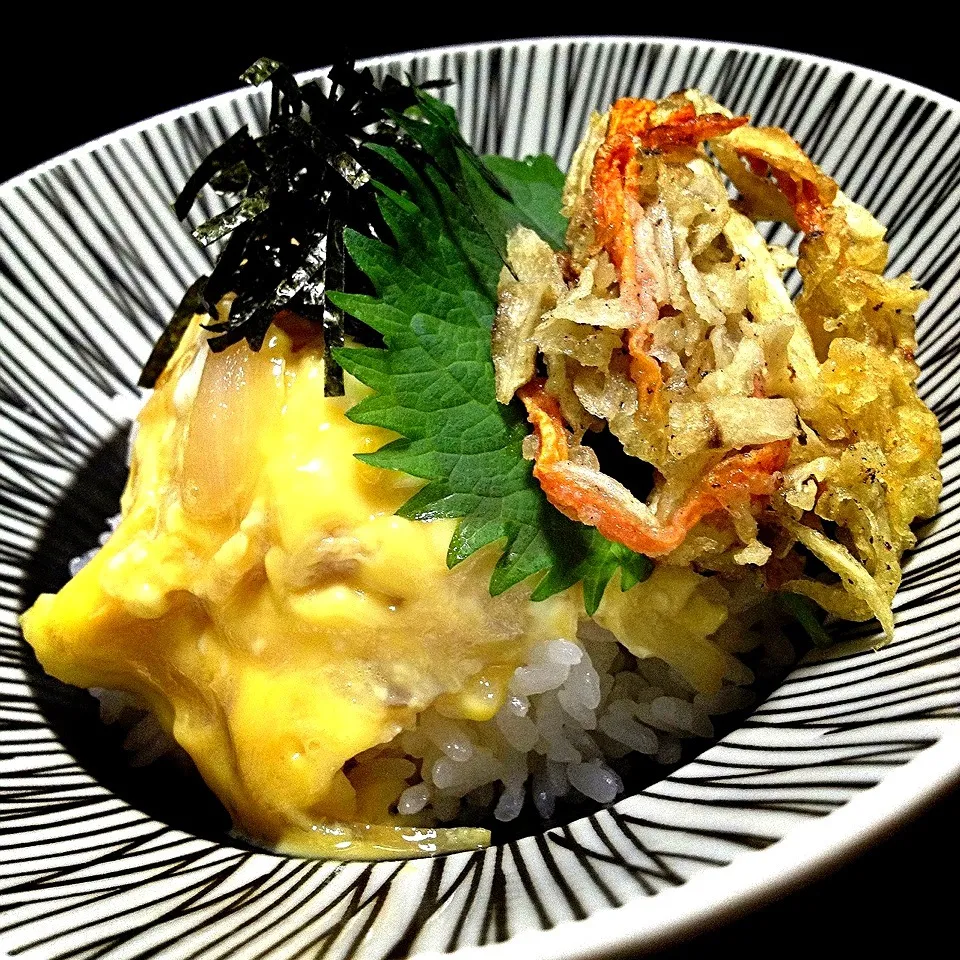 Bowl of rice topped with mixed vegetable tempura & eggs|nori.co.jpさん